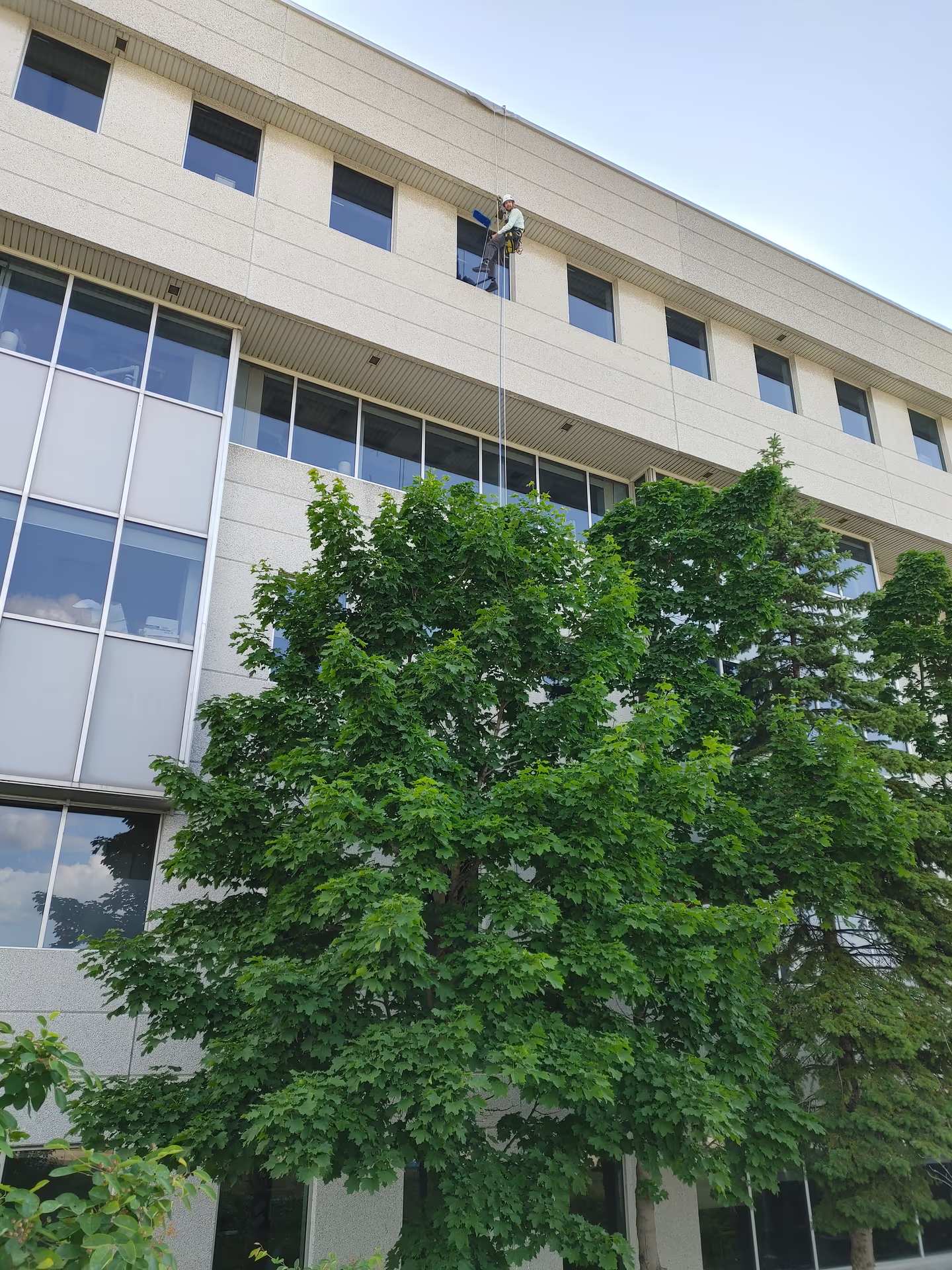 Professional rope access window cleaning